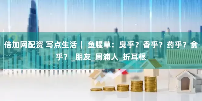 倍加网配资 写点生活｜ 鱼腥草：臭乎？香乎？药乎？食乎？_朋友_周浦人_折耳根