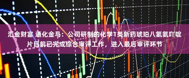 汇金财富 通化金马：公司研制的化学1类新药琥珀八氢氨吖啶片目前已完成综合审评工作，进入最后审评环节